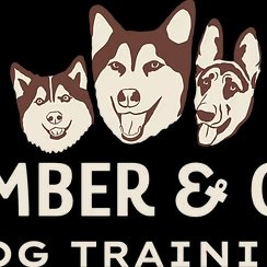 Timber And Co Dog