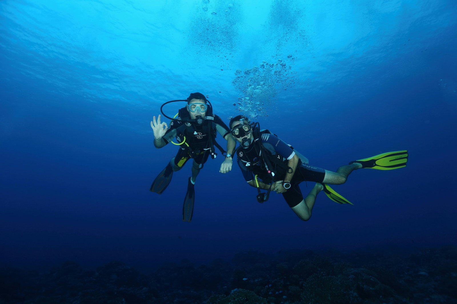 Two scuba divers swimming together underwater.