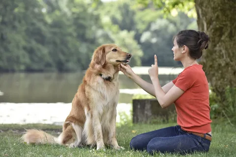 dog training salem oregon