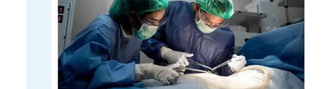 gynaecologist  oncology