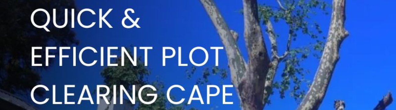 Cape Tree Services
